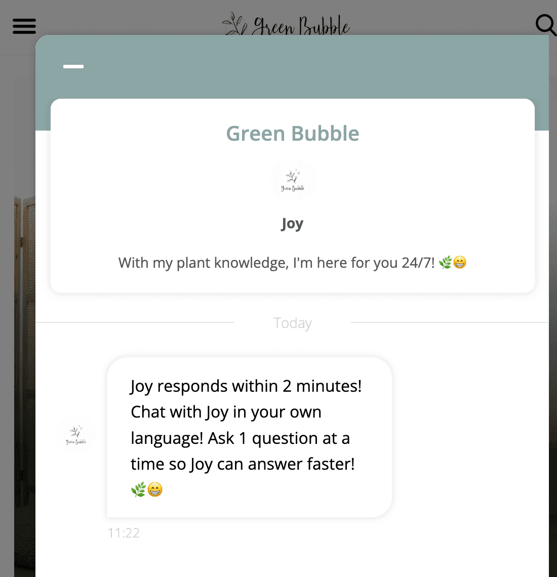 AI Chatbot Example by Watermelon AI