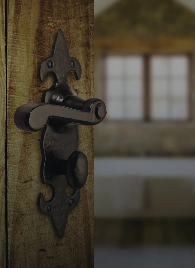 A black fleur-de-lys lever set on an oak door