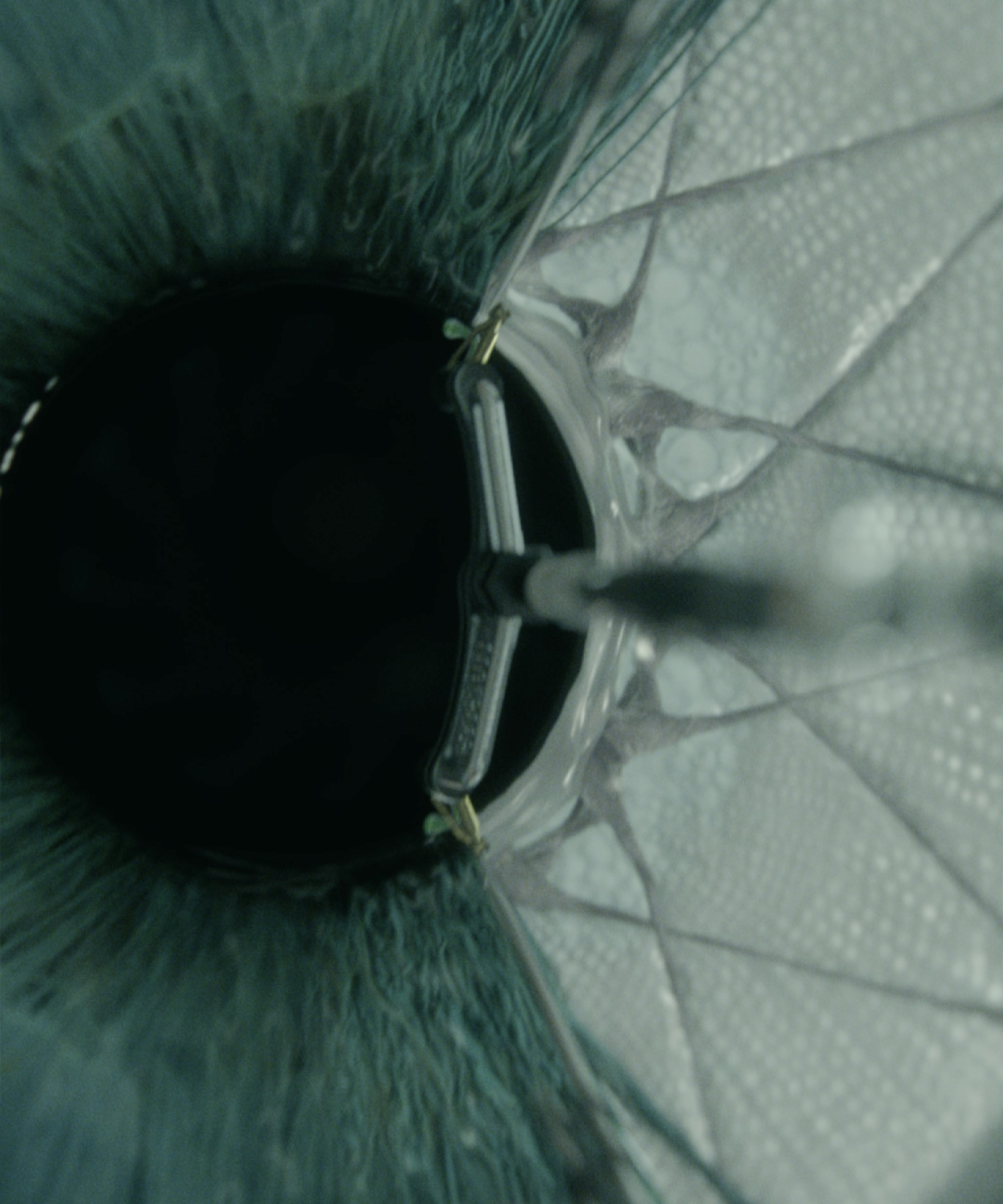 Dom Pérignon vineyards from the sky