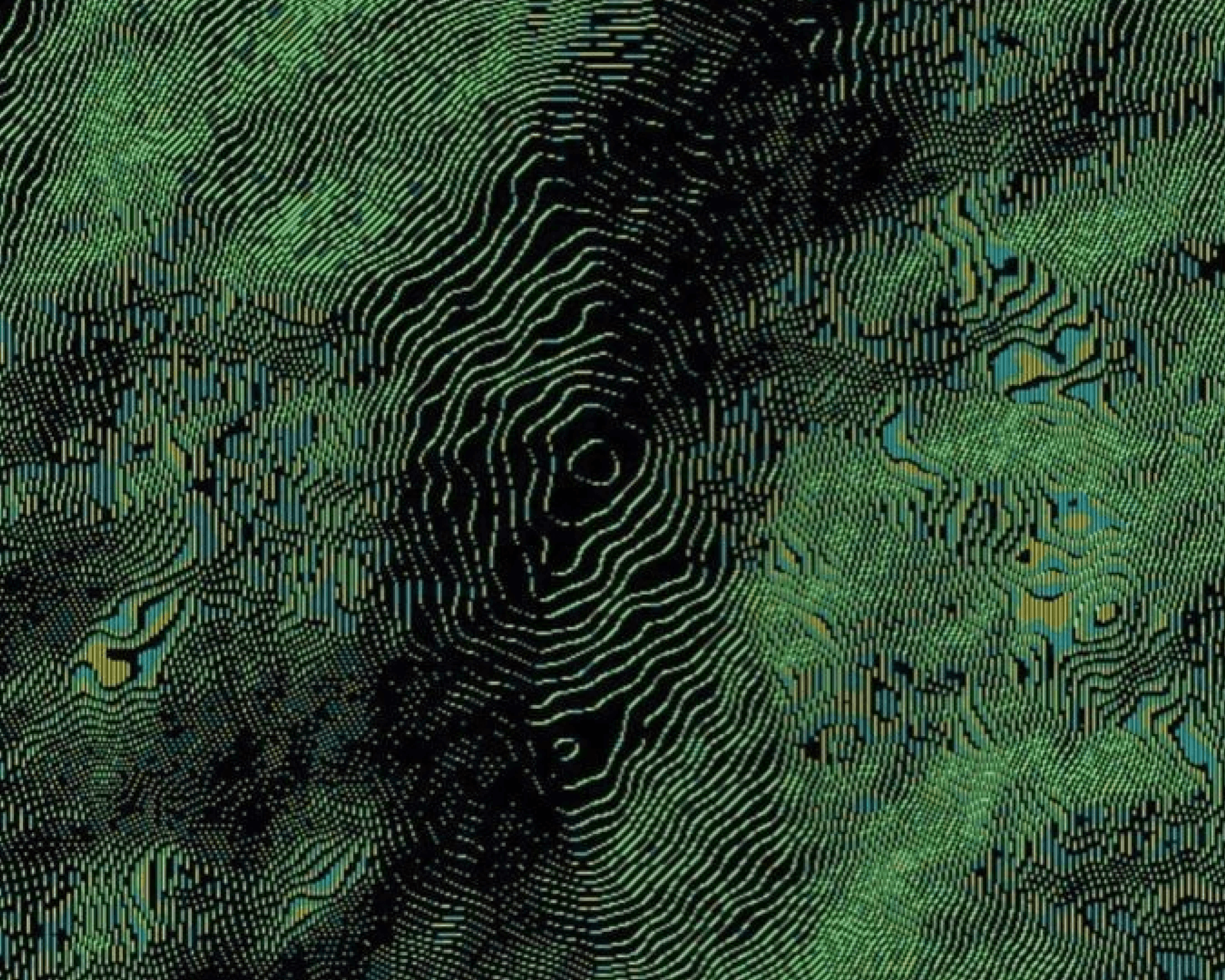 fingerprint-like diagram