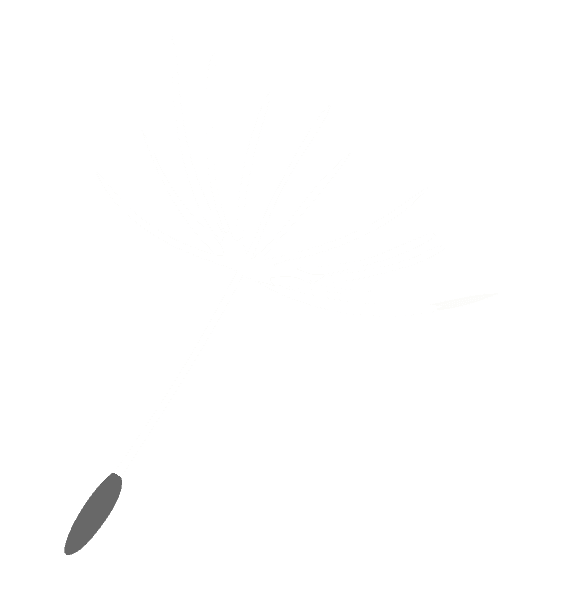 Floating illustrated dandelion wish