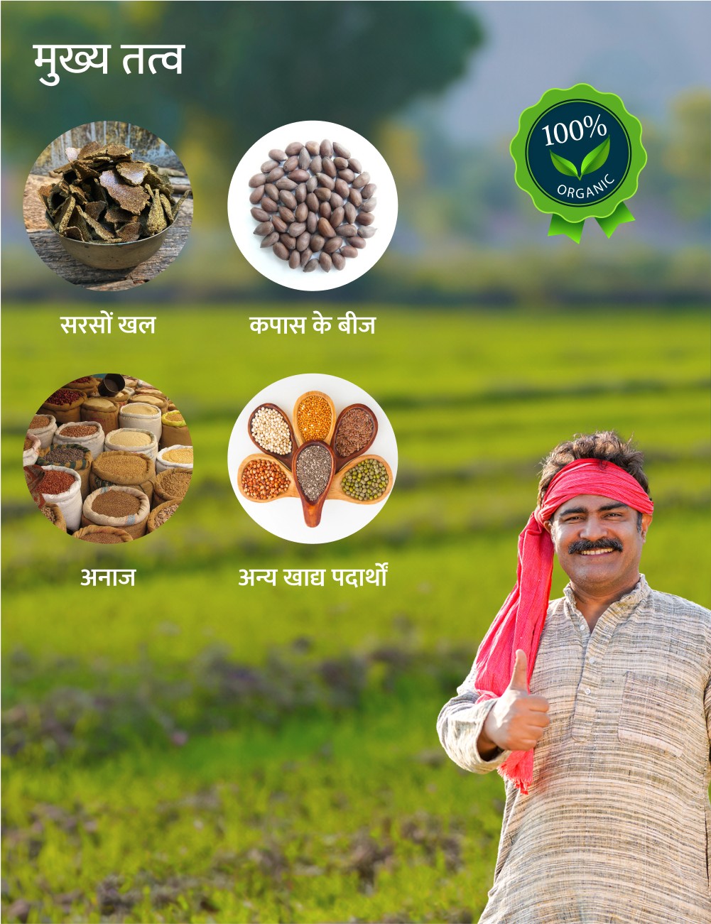 Premium Payal gold ingredients