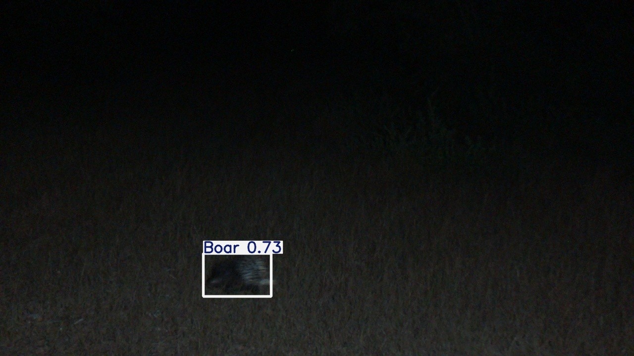 Premium UX Template for Framer