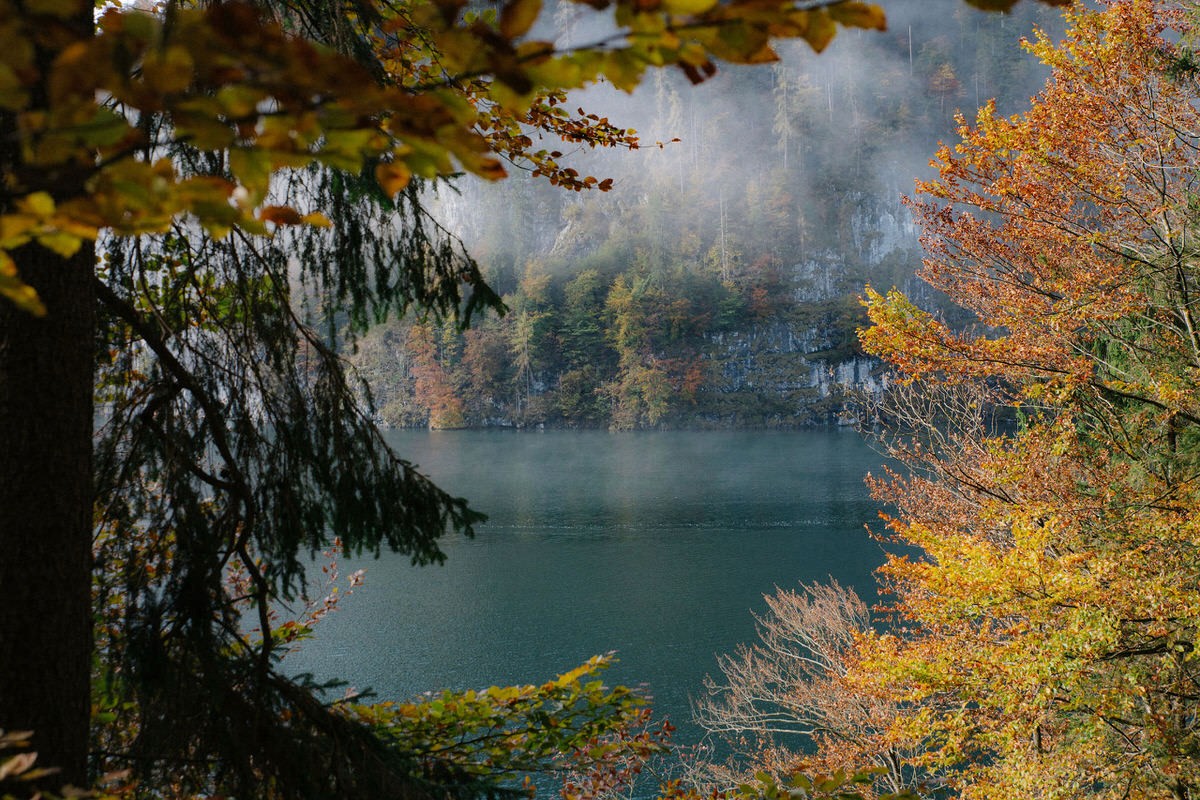 lake königssee berchtesgaden framed by autumn coloured trees and mist