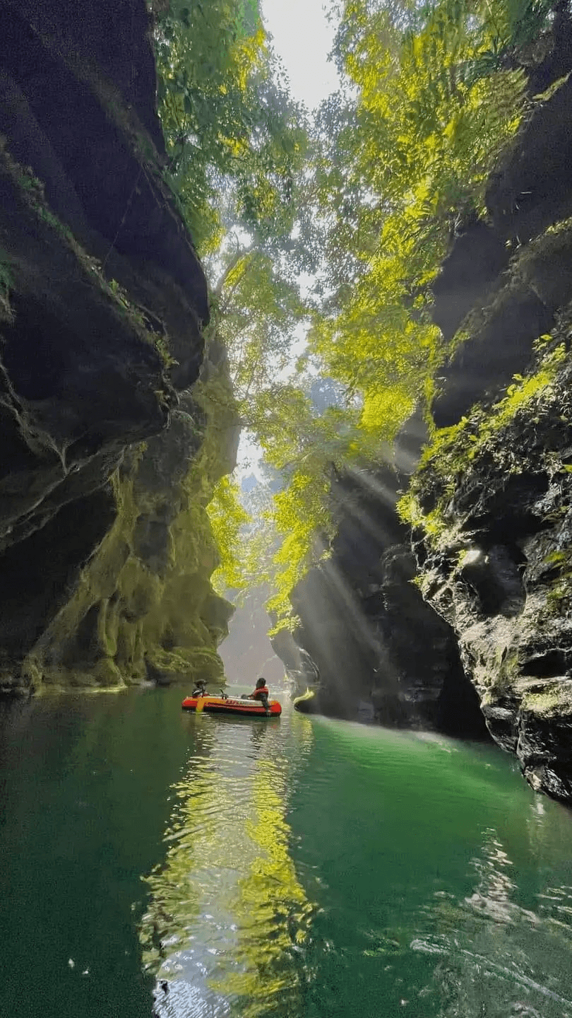 InstantDM - Instagram DM Automation tool