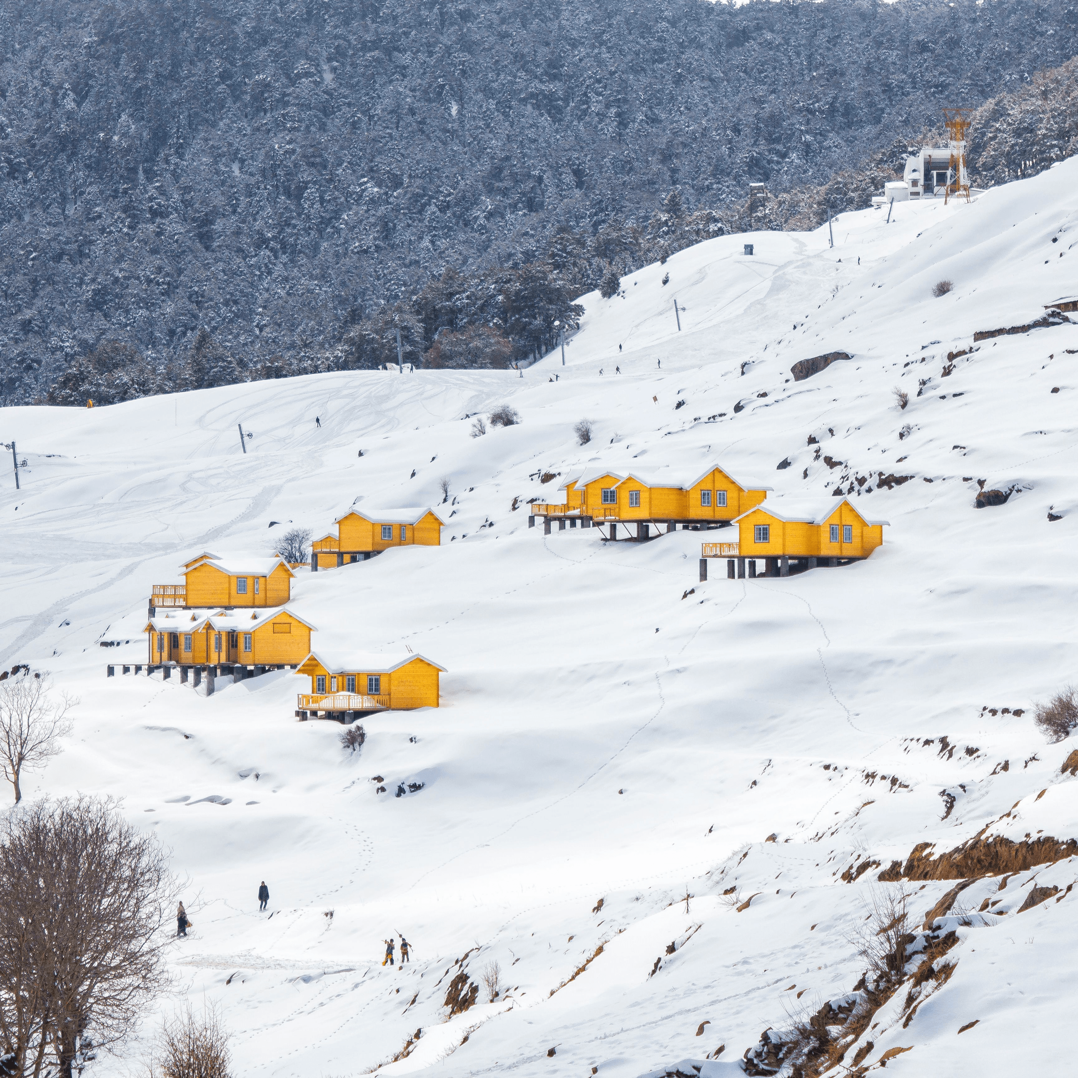 Skier gliding down snowy slopes in Auli with panoramic Himalayan peaks, showcasing winter adventure sports and scenic mountain landscapes