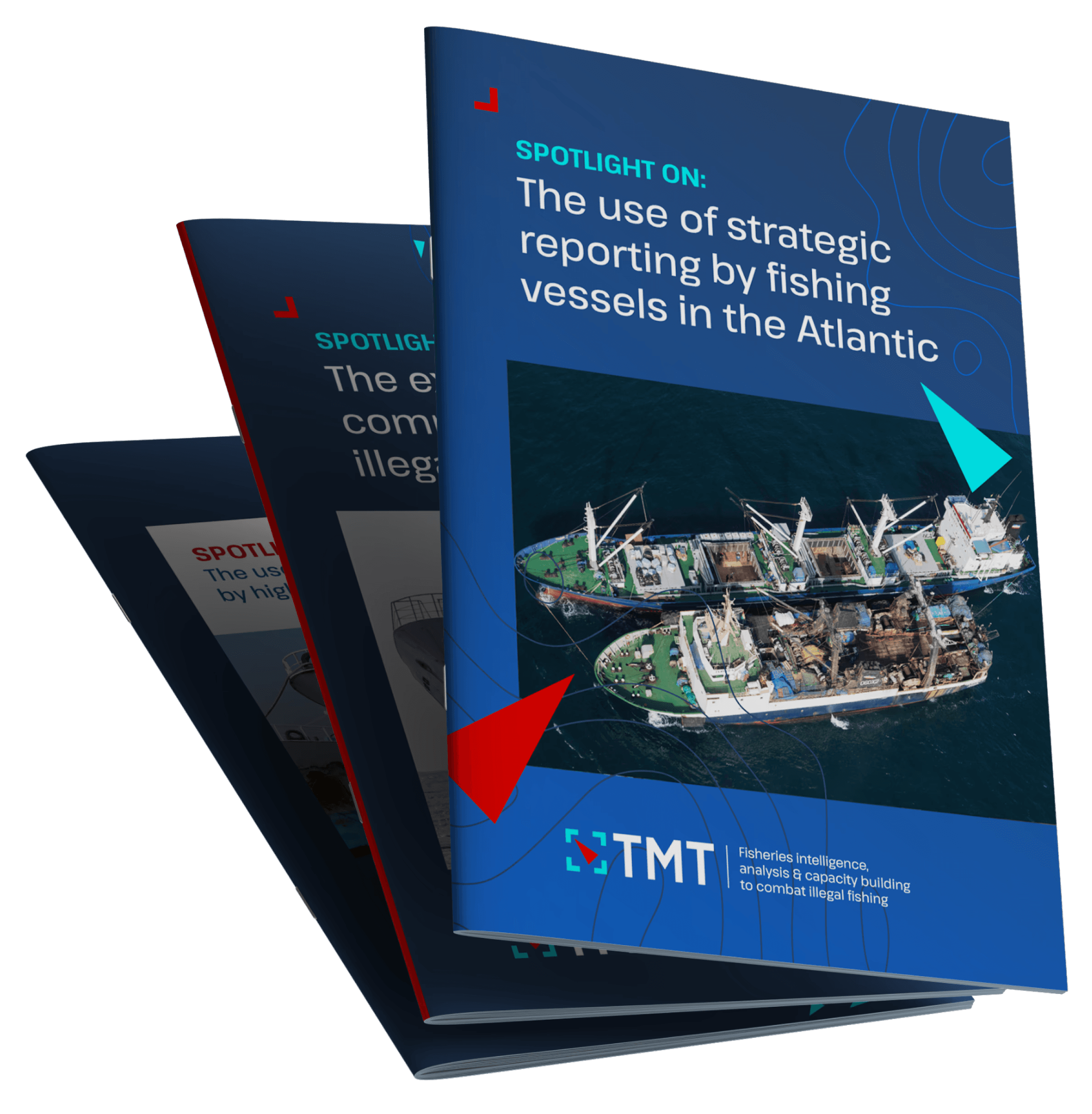 TMT Report Designs stacked