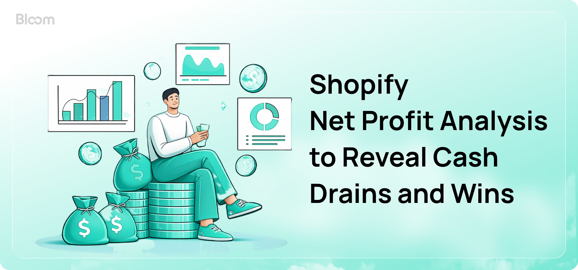 Shopify Net Profit Calculation