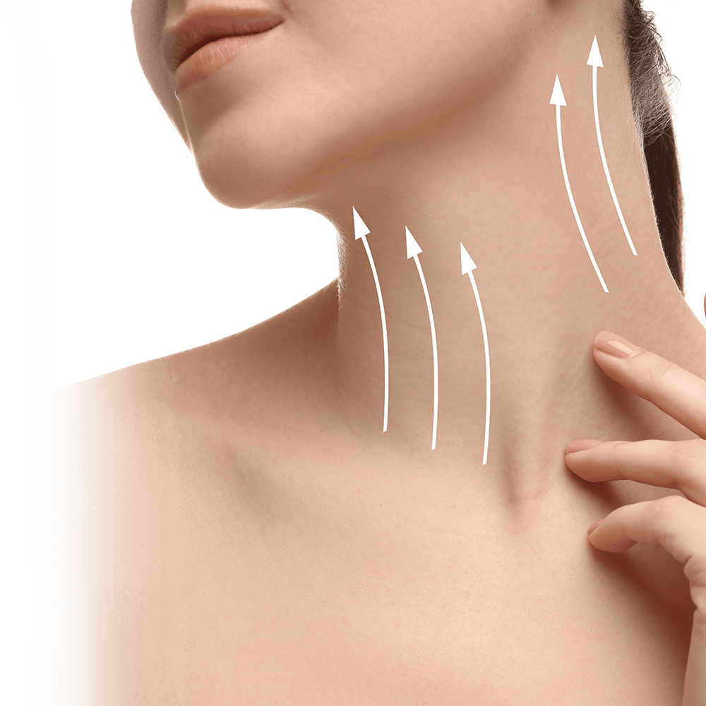 vectors of neck rejuvenation