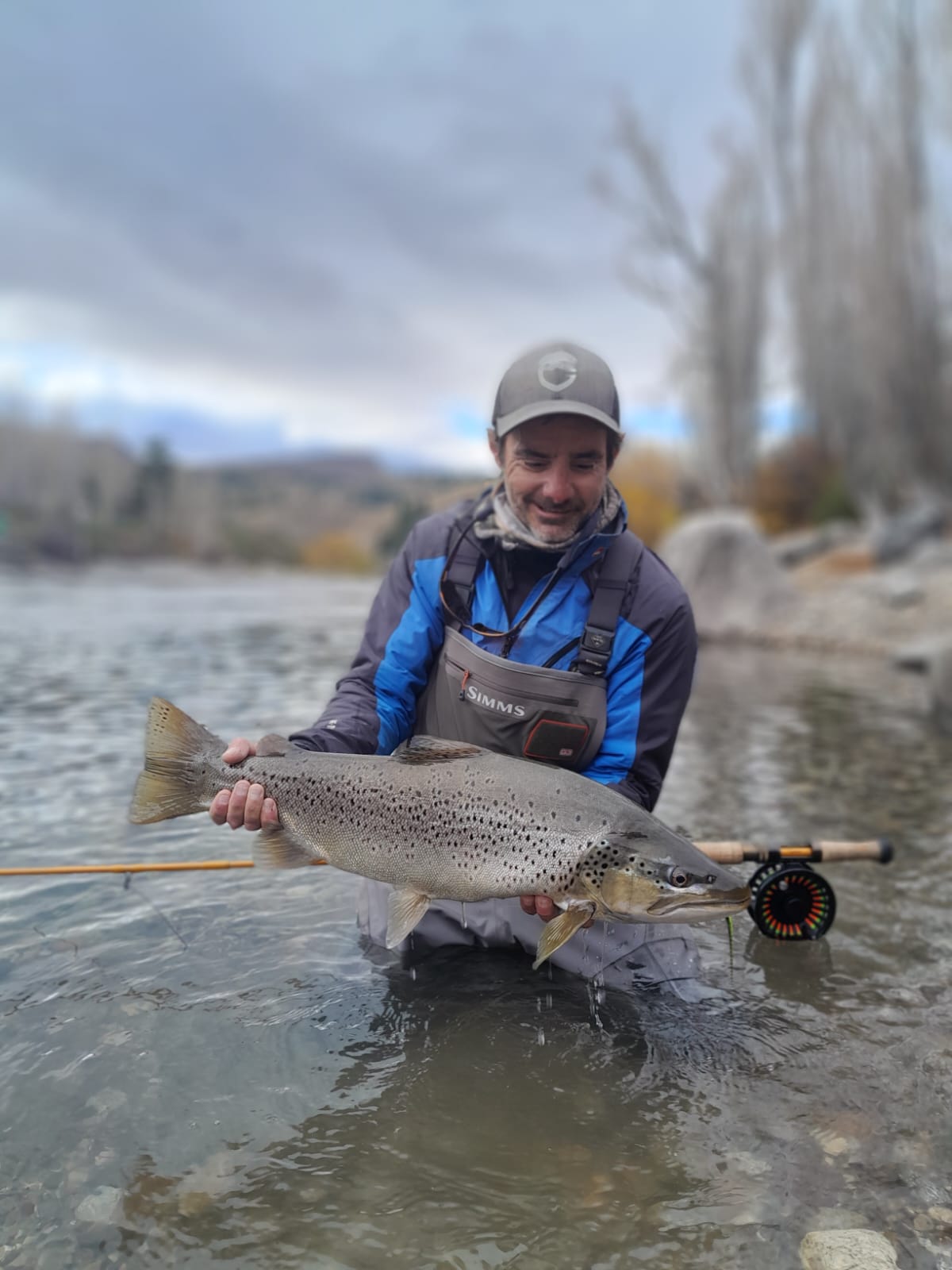 Catch massive lake trout fly fishing on the Limay River in scenic Patagonia.