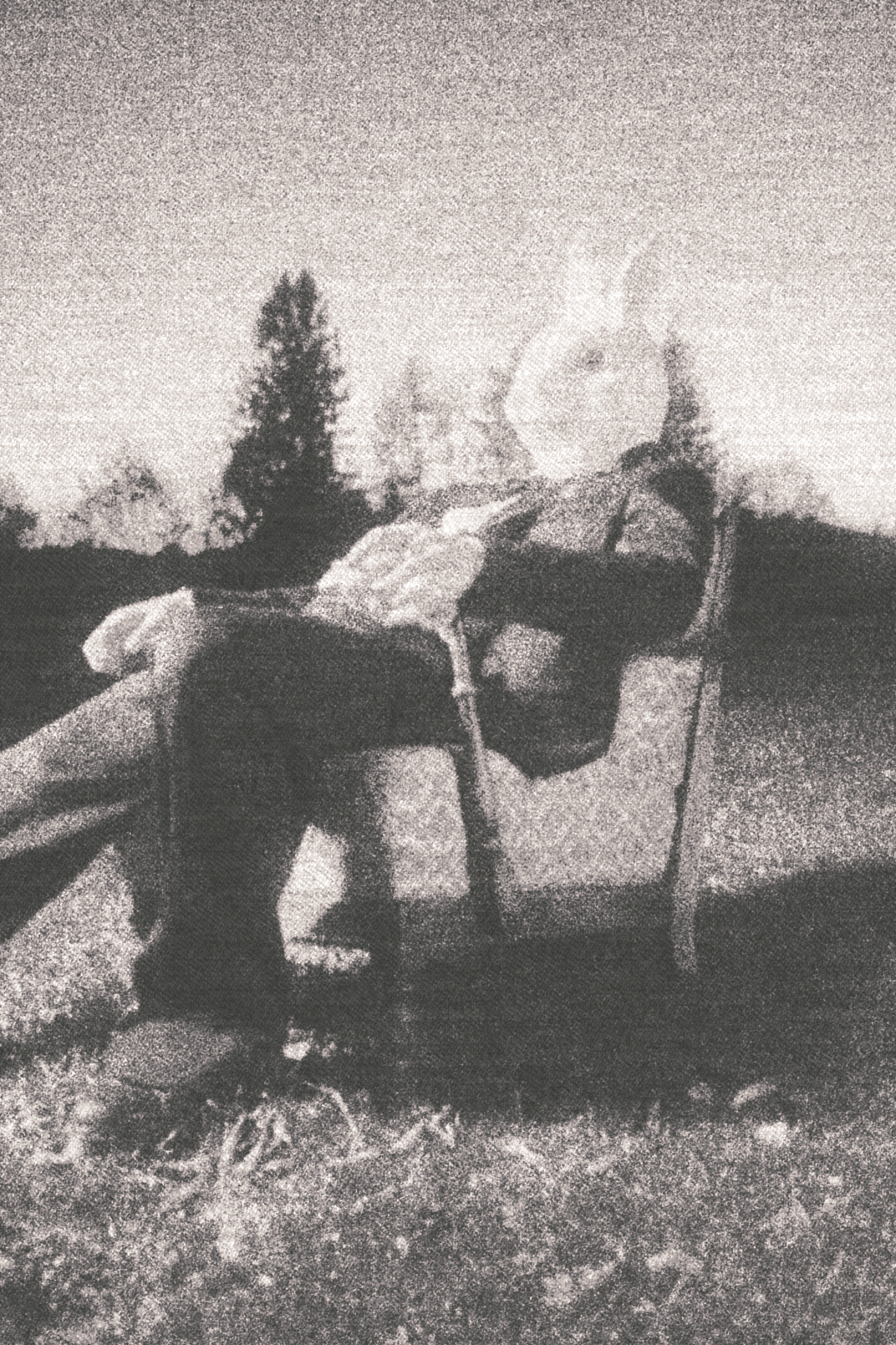 Photo: Frank Hooligan x Lucas Fortmann