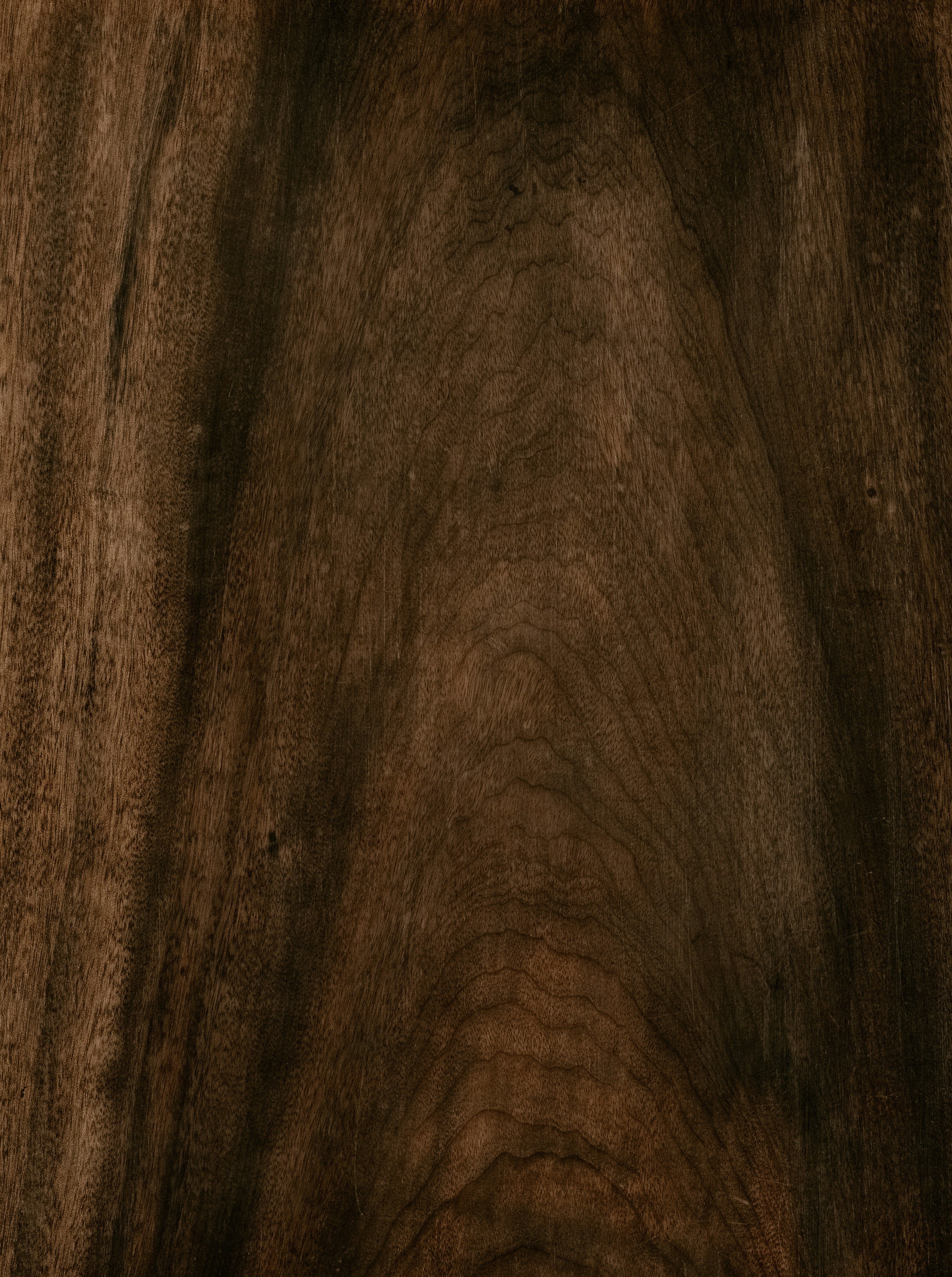 Paintings after Ancient Masters 老蓮橅古 1598–1652 Chen Hongshou 陳洪綬 (Chinese, 1598/99–1652) China, Ming dynasty (1368–1644) Double album with twenty-two leaves; ink or ink and color on silk Overall: 30.2 x 26.7 cm (11 7/8 x 10 1/2 in.) John L. Severance Fund 1979.27