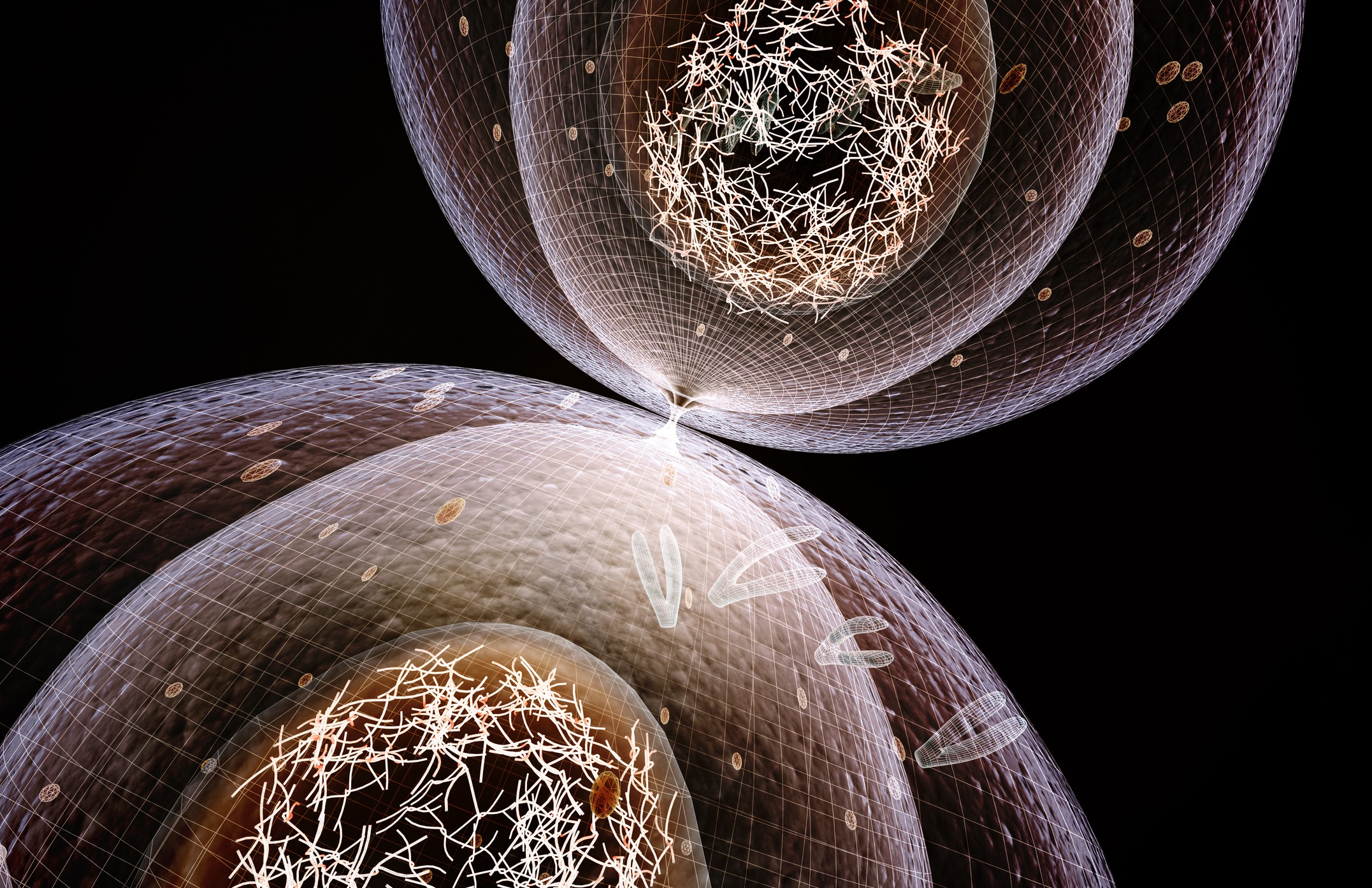 Close-up abstract image of translucent gel or oil bubbles suspended in liquid, creating a scientific and artistic texture.