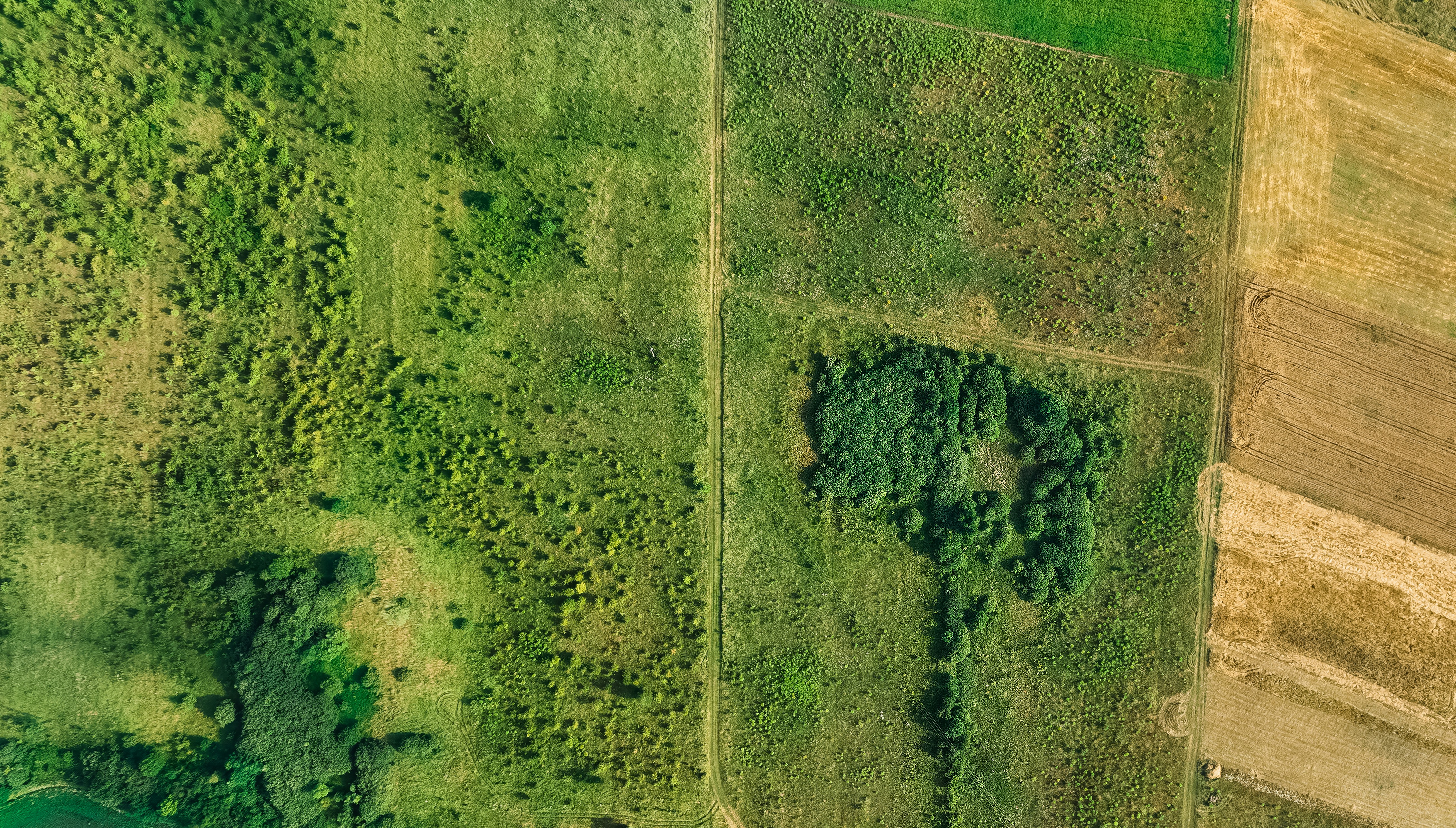 An aerial view of a field with a tractor in it