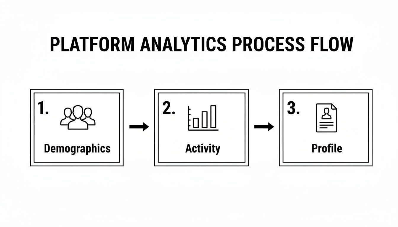 A platform analytics process flow diagram showing steps for demographics, activity, and profile.
