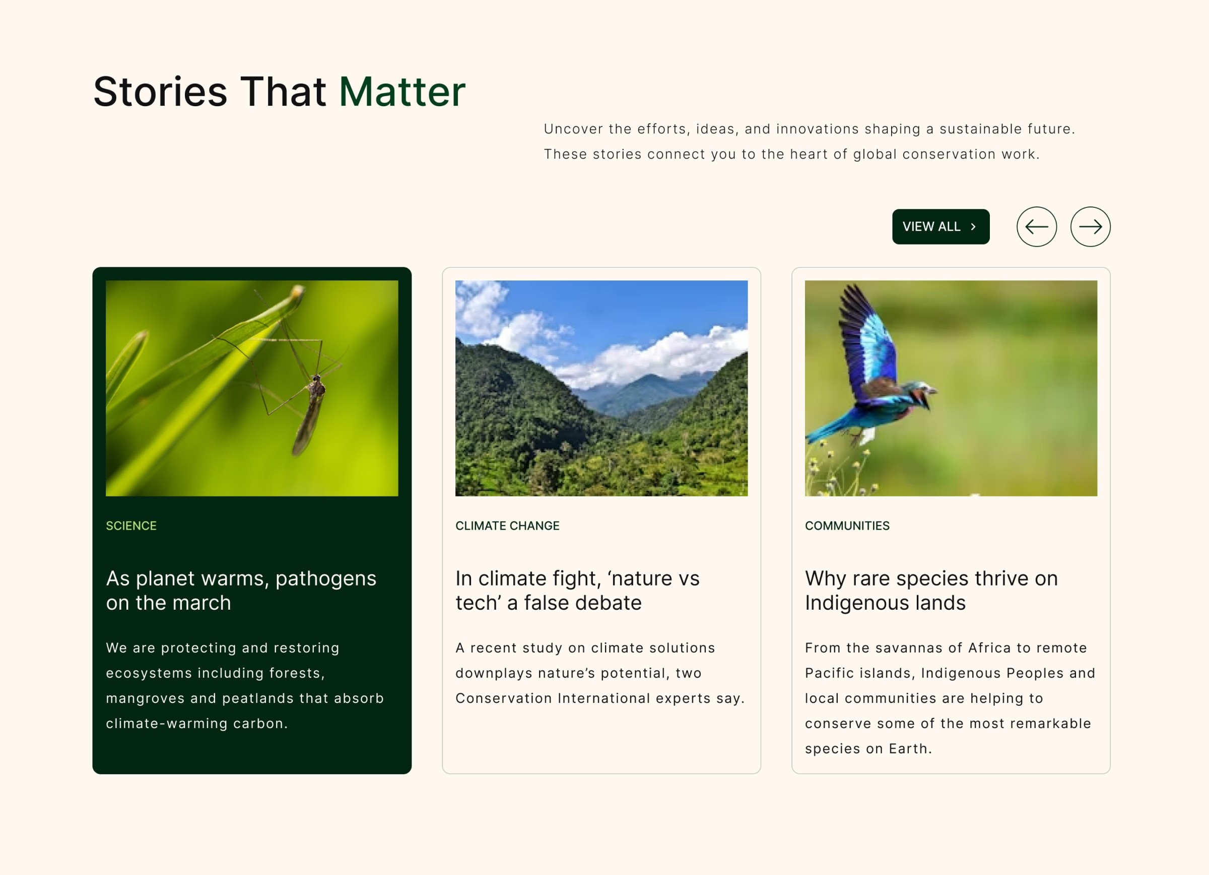 Multi-page blog with hover interaction