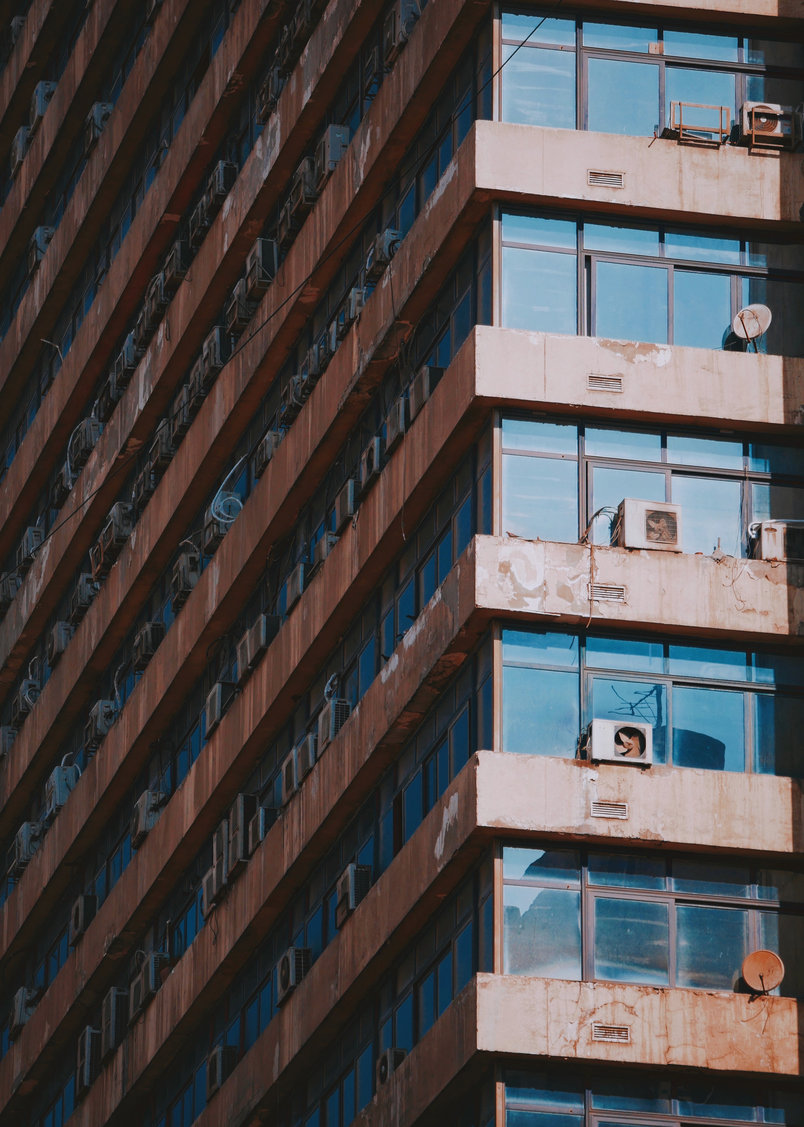 Service Photo Real Mehedi Free Framer Template Photography