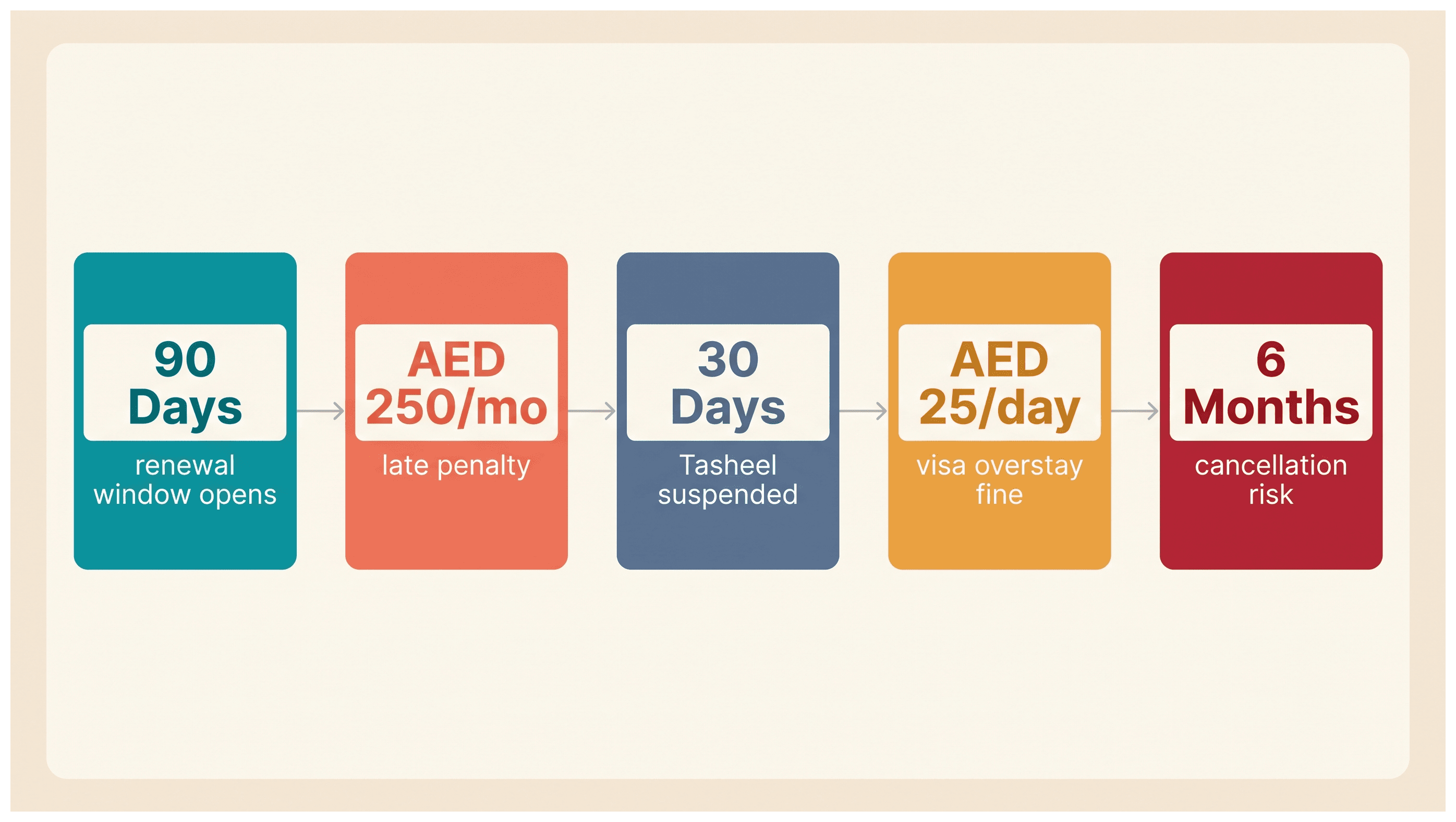 Infographic: Business License Renewal for a Mainland Company in Dubai