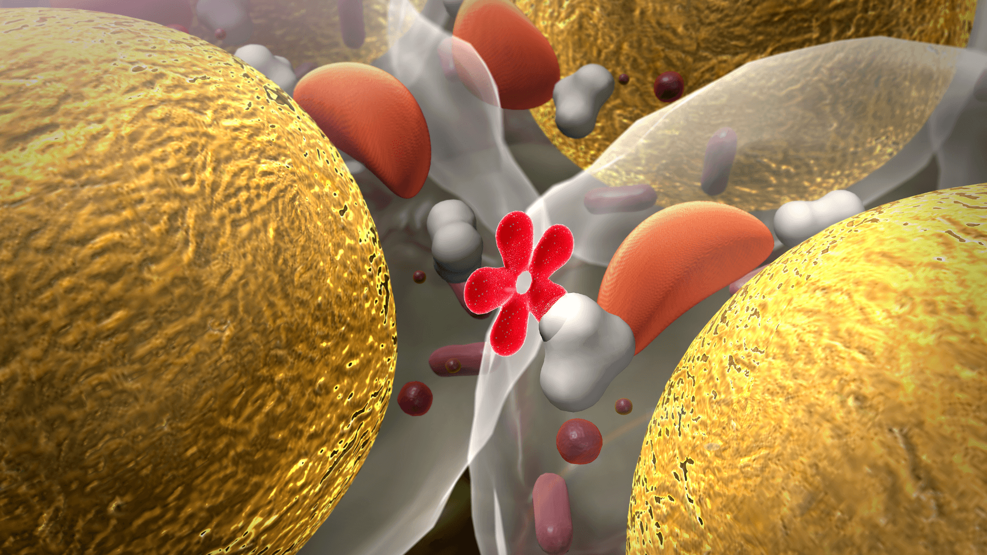 Insulin resistance 