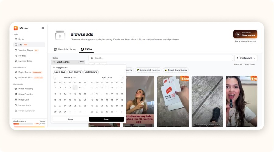 Interface Minea affichant publicités TikTok et filtres recherche produits dropshipping.