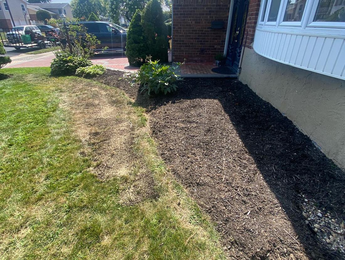 Freshly laid dark mulch bed with a crisp edge against green lawn
