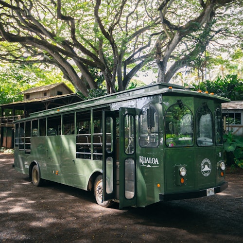 クアロア牧場での観光バス（オアフ島）