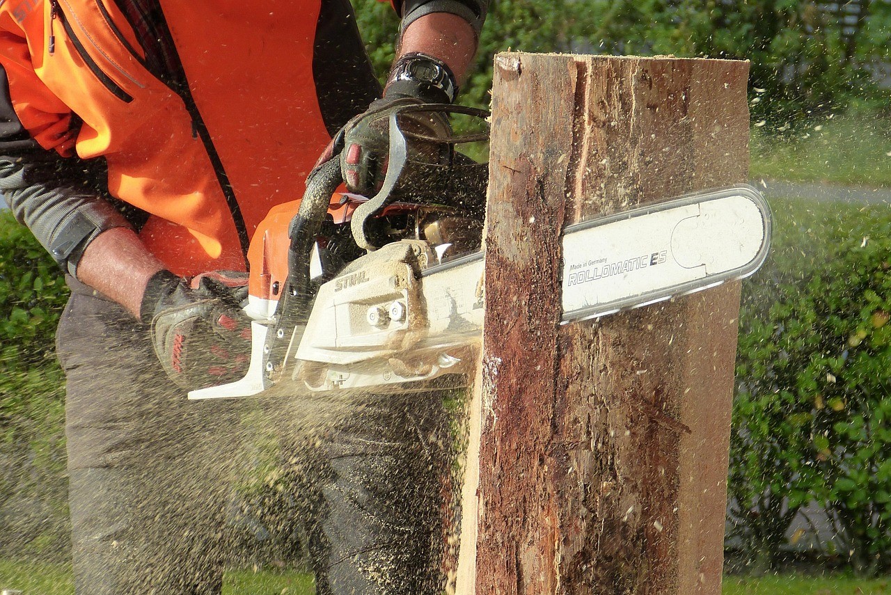 Worker using a chainsaw to cut a tree trunk during pruning or tree care work.