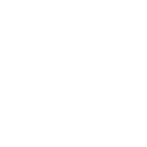 "REP richmond elite performance" logomark with these exact words spelled out
