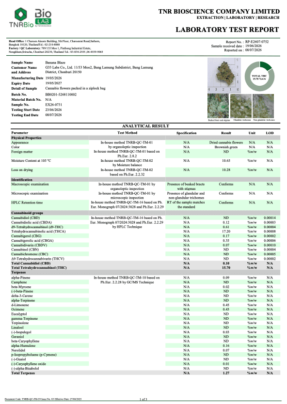 Banana Blaze COA page 1