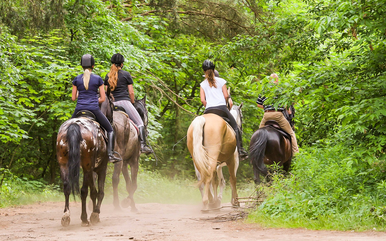 Horseback riders on a forest trail near Siena.