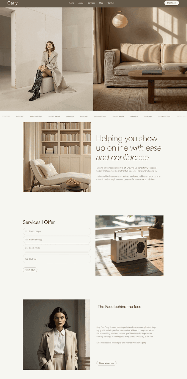 Home page overview of Carly template