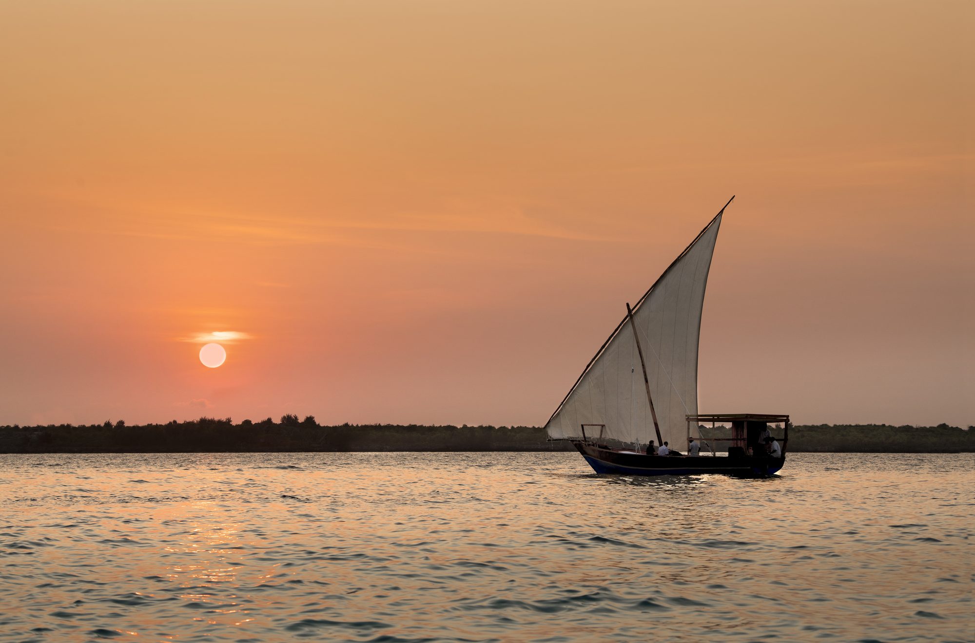 A traditional dhow with a white sail crosses calm water at sunset off Zanzibar, with the sun low over a wooded shoreline.