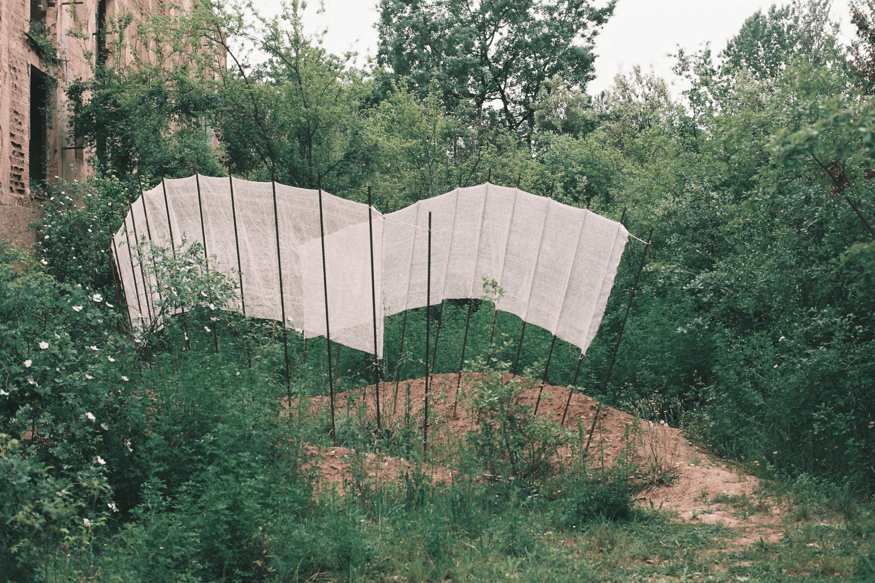 Valle. Prototipo climático para paisajes futuros