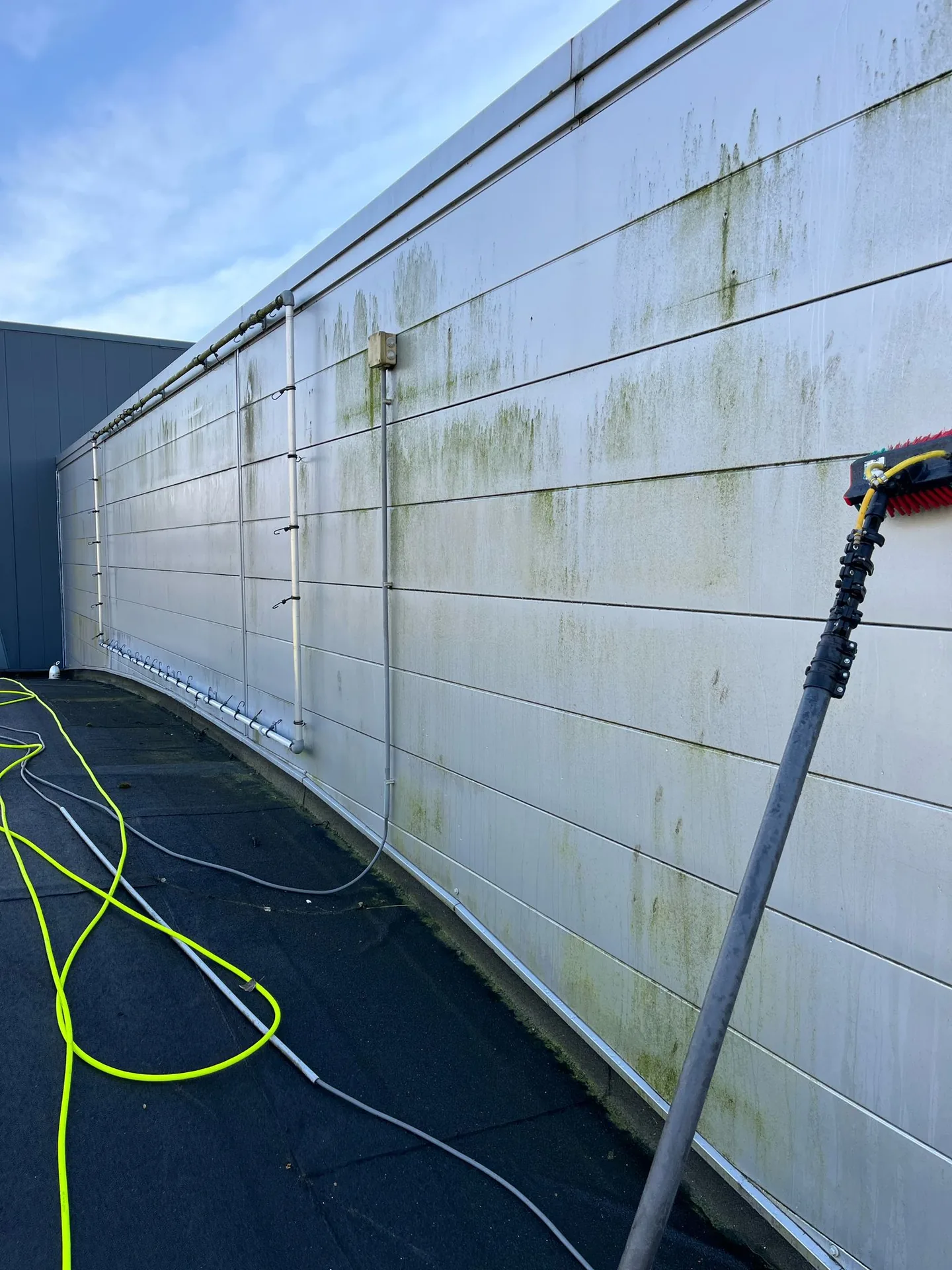 Dezelfde gevelbeplating met groene aanslag voor de reiniging