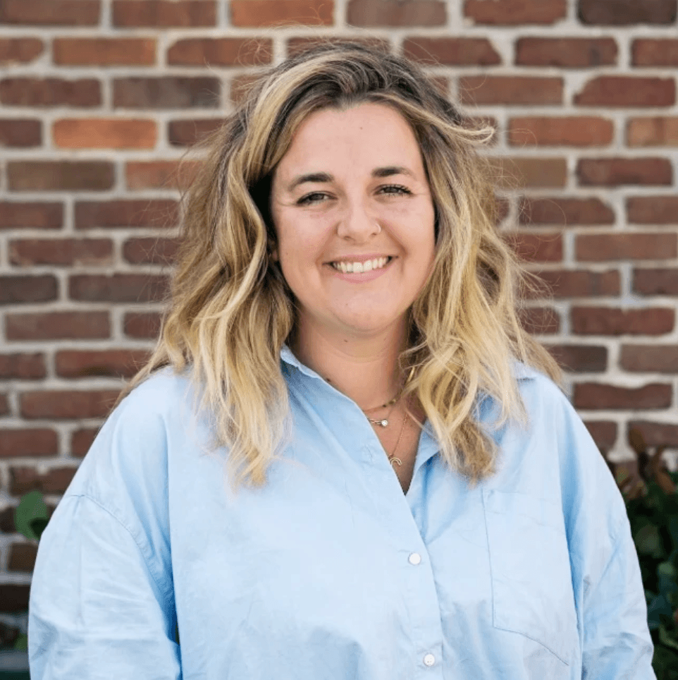 aerial shot of forest