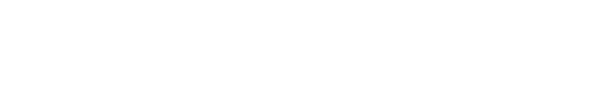 Fraxis Duo Logo