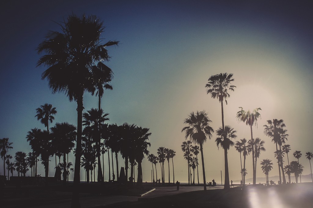 Perspektiven & Expertise: Der Kirschhofer Productions Blog