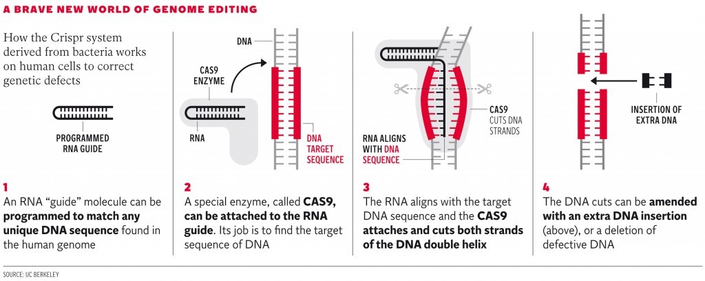 web-genetics-graphic-1024x408