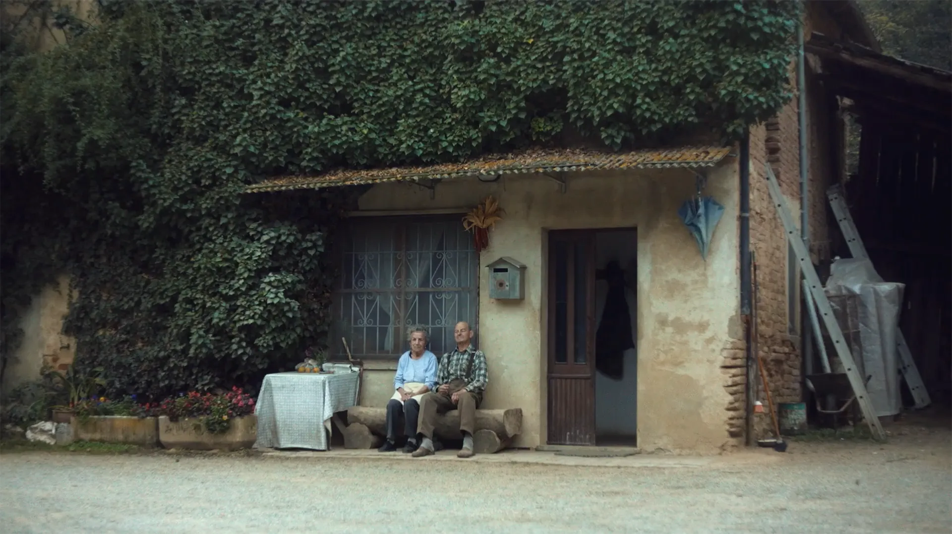 The White Truffle para Maison de la Truffe x Nowness: fotograma principal del video que muestra bosque húmedo y escena de búsqueda de trufa con tonos terrosos.