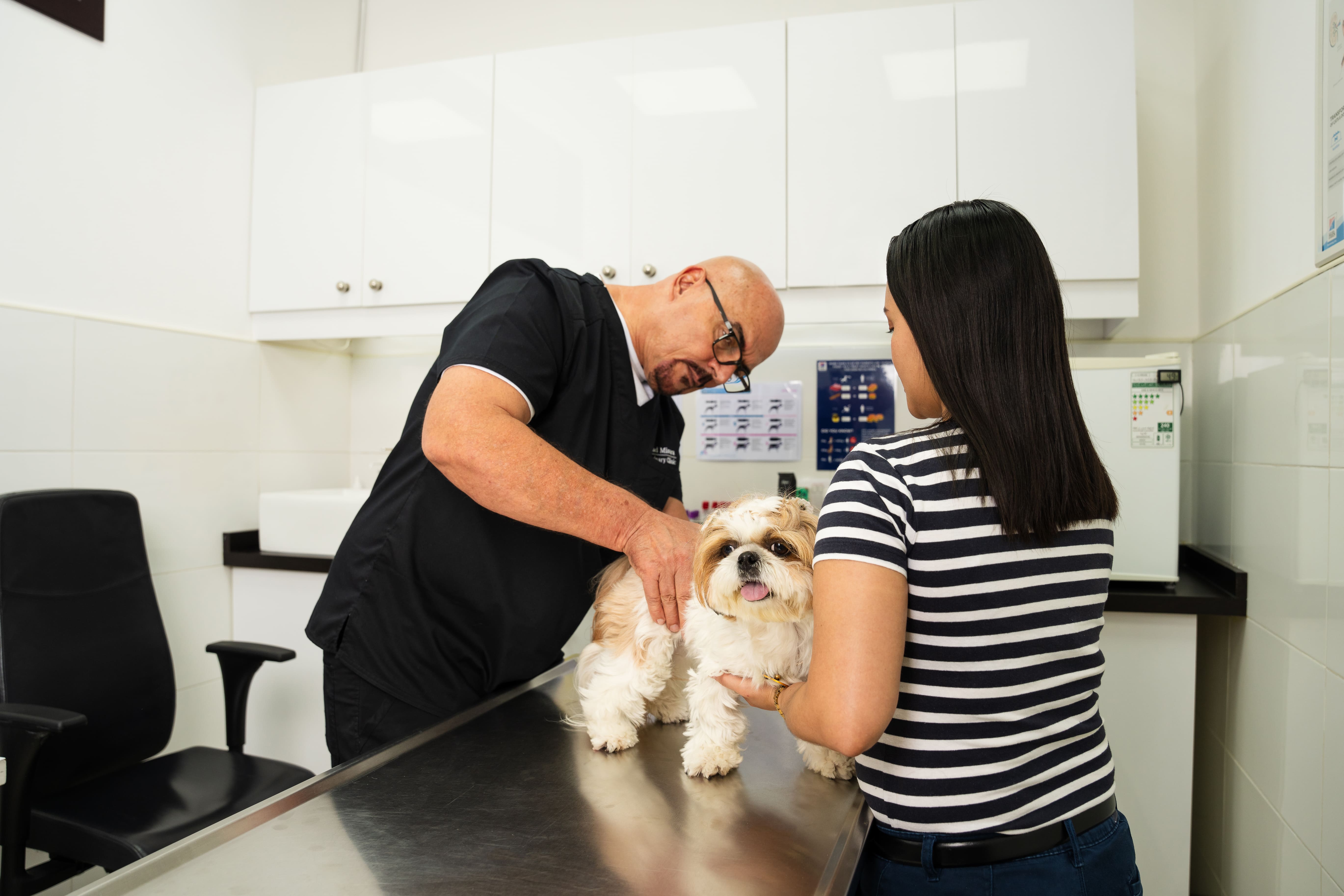 Risks of Feeding Spinach to Dogs