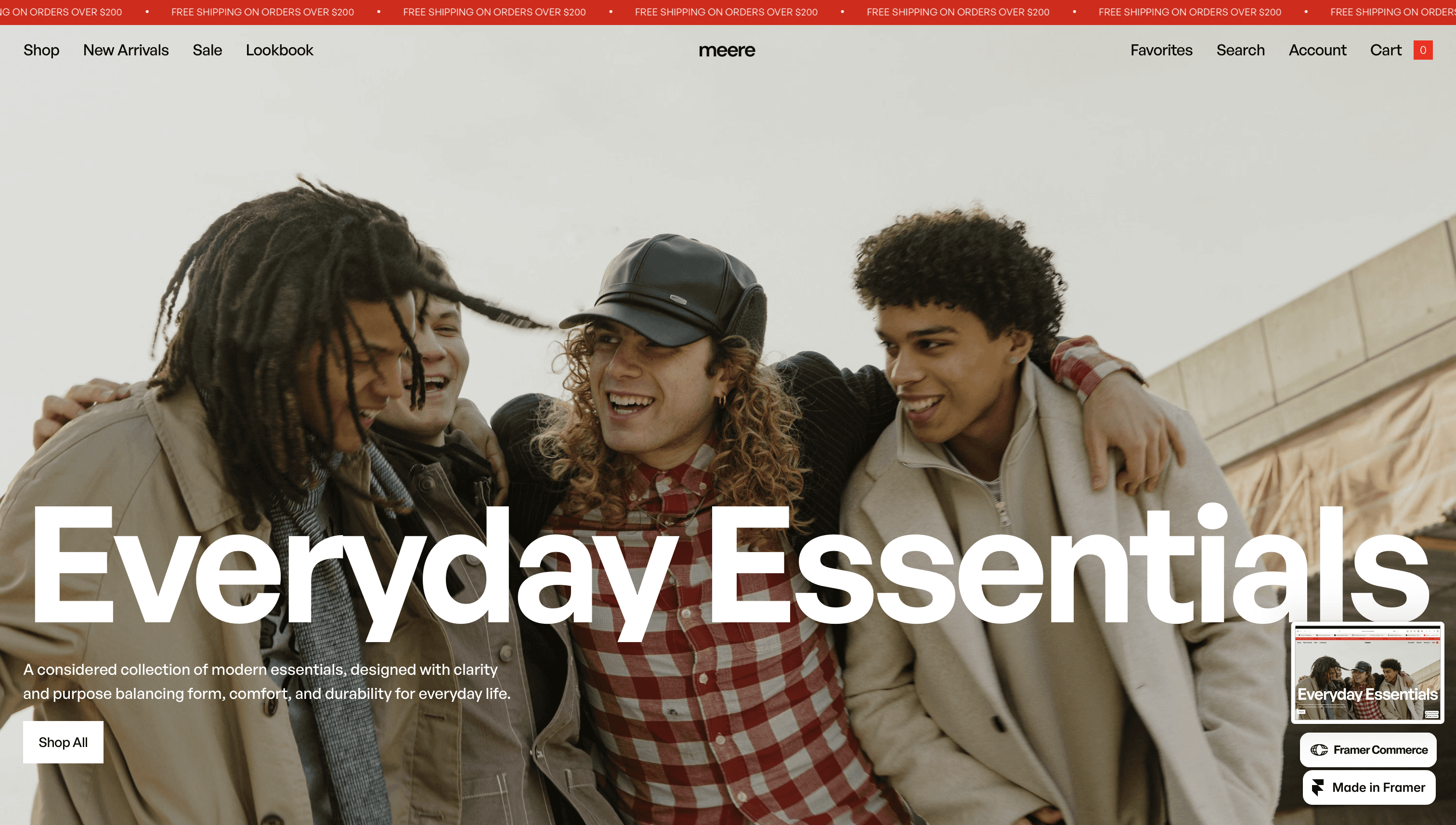 e commerce website