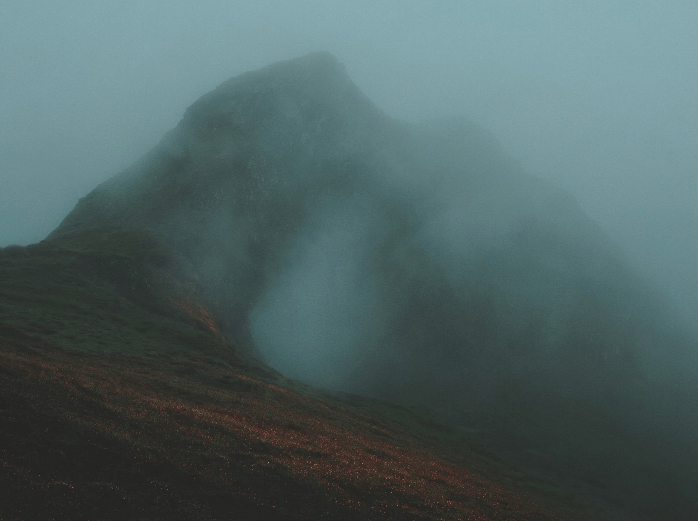 Customer testimonial