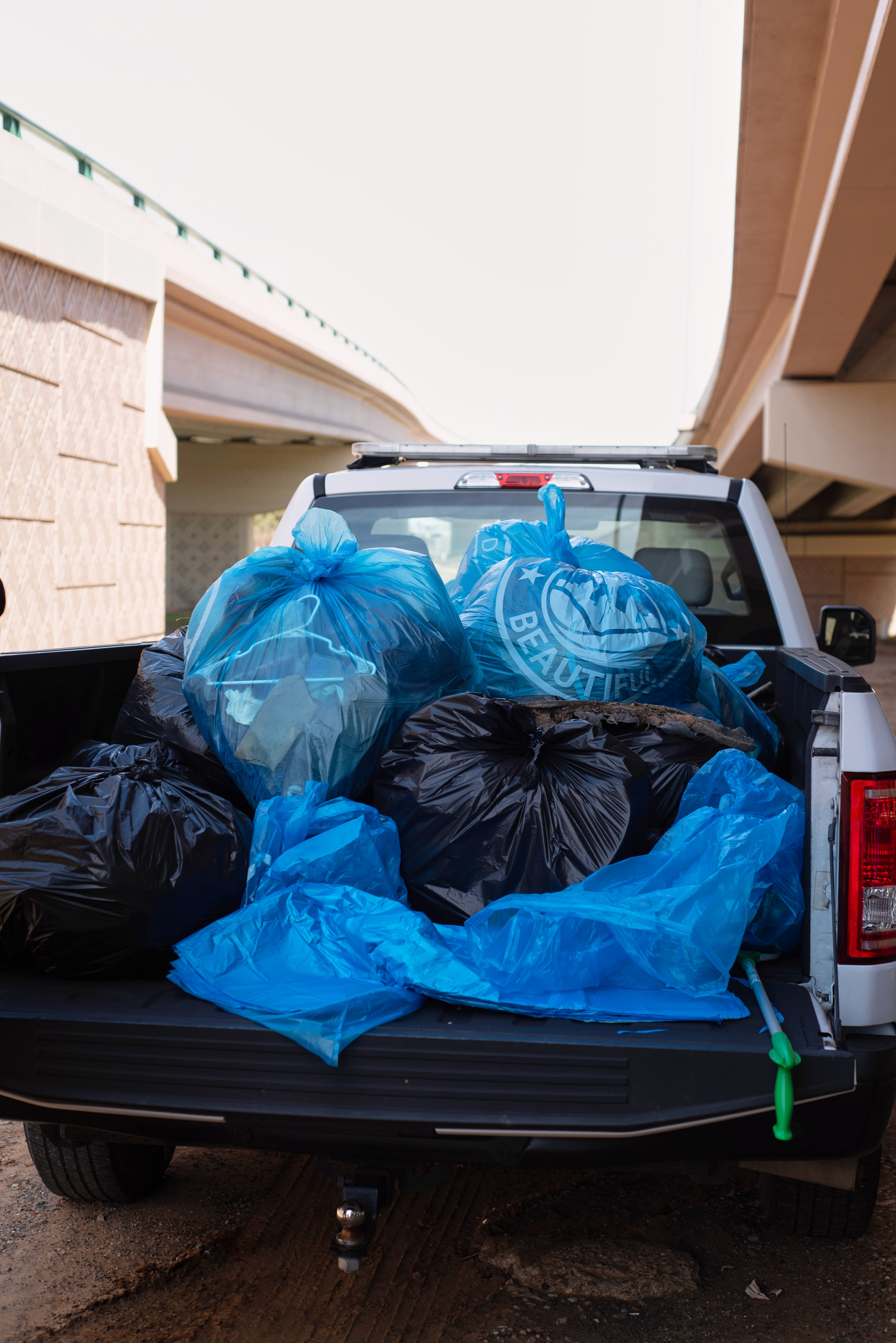 A City Detect camera detects litter and a small object on a patch of grass near bushes.
