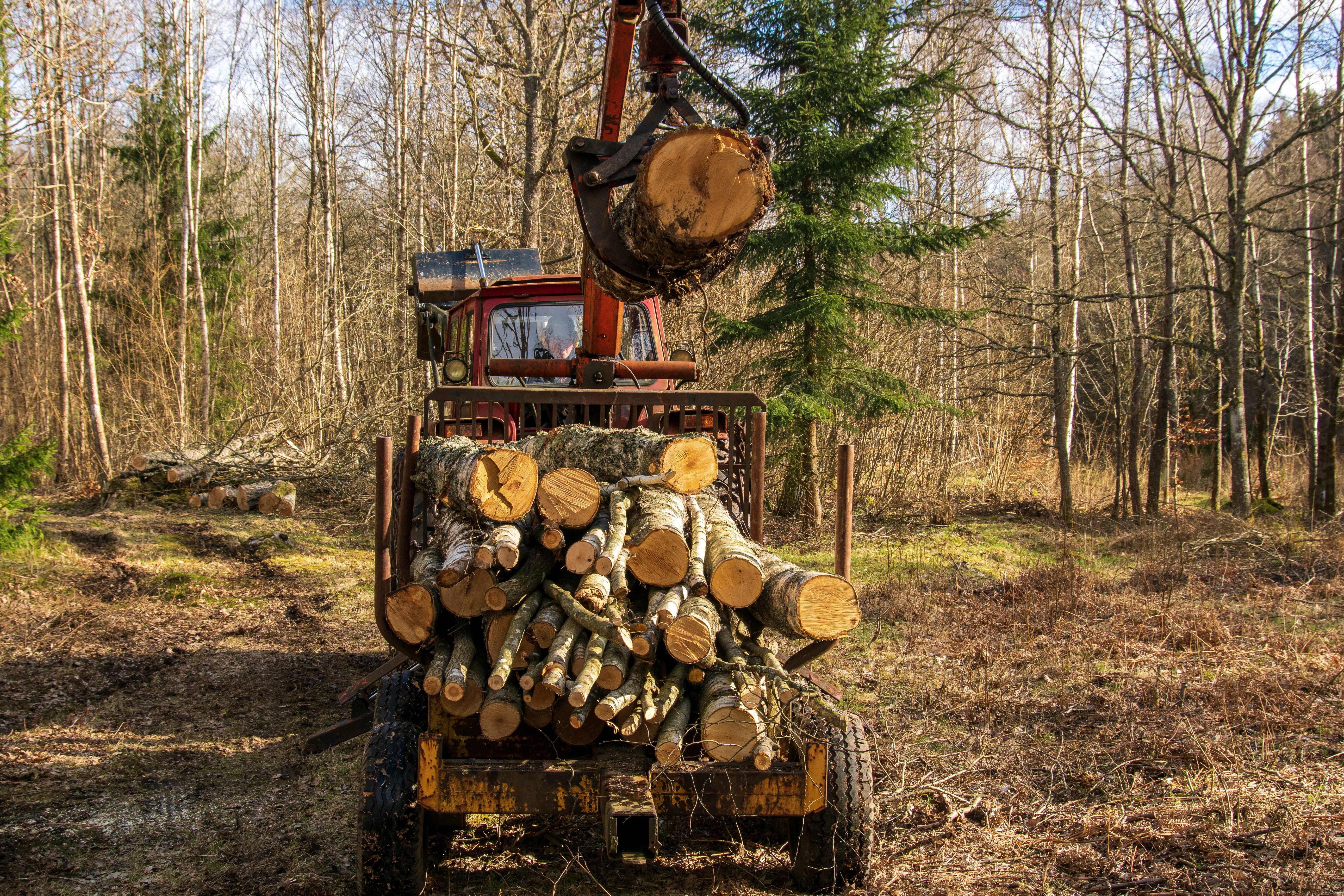 a truck carrying logs in a wooded area