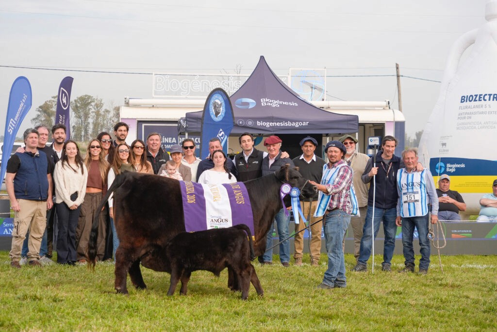 Reservado Gran Campeón Hembra