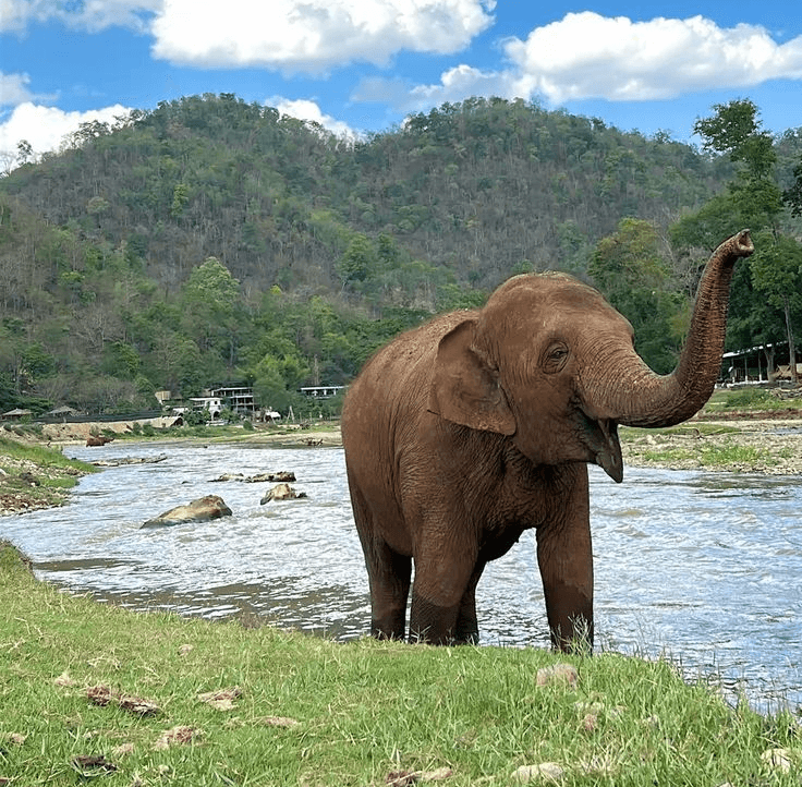 doi inthanon