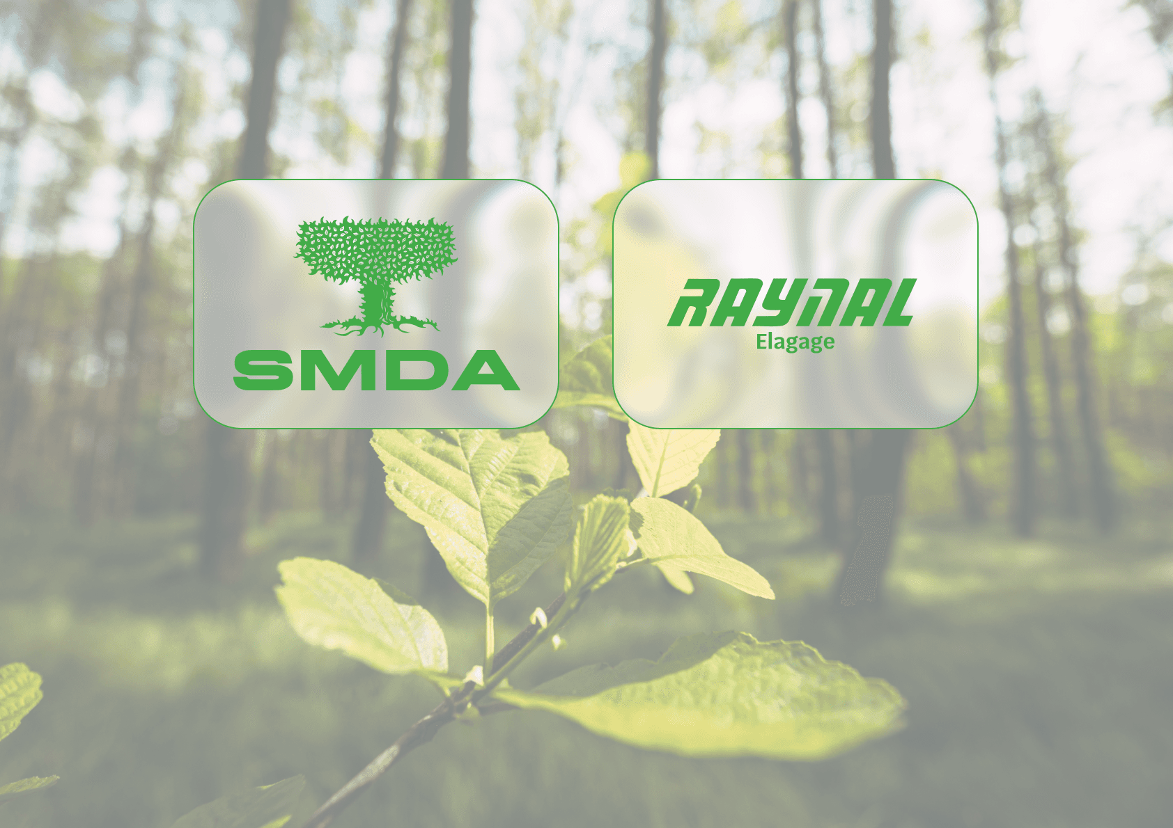 élagage arbre Bretagne Raynal Élagage SMDA