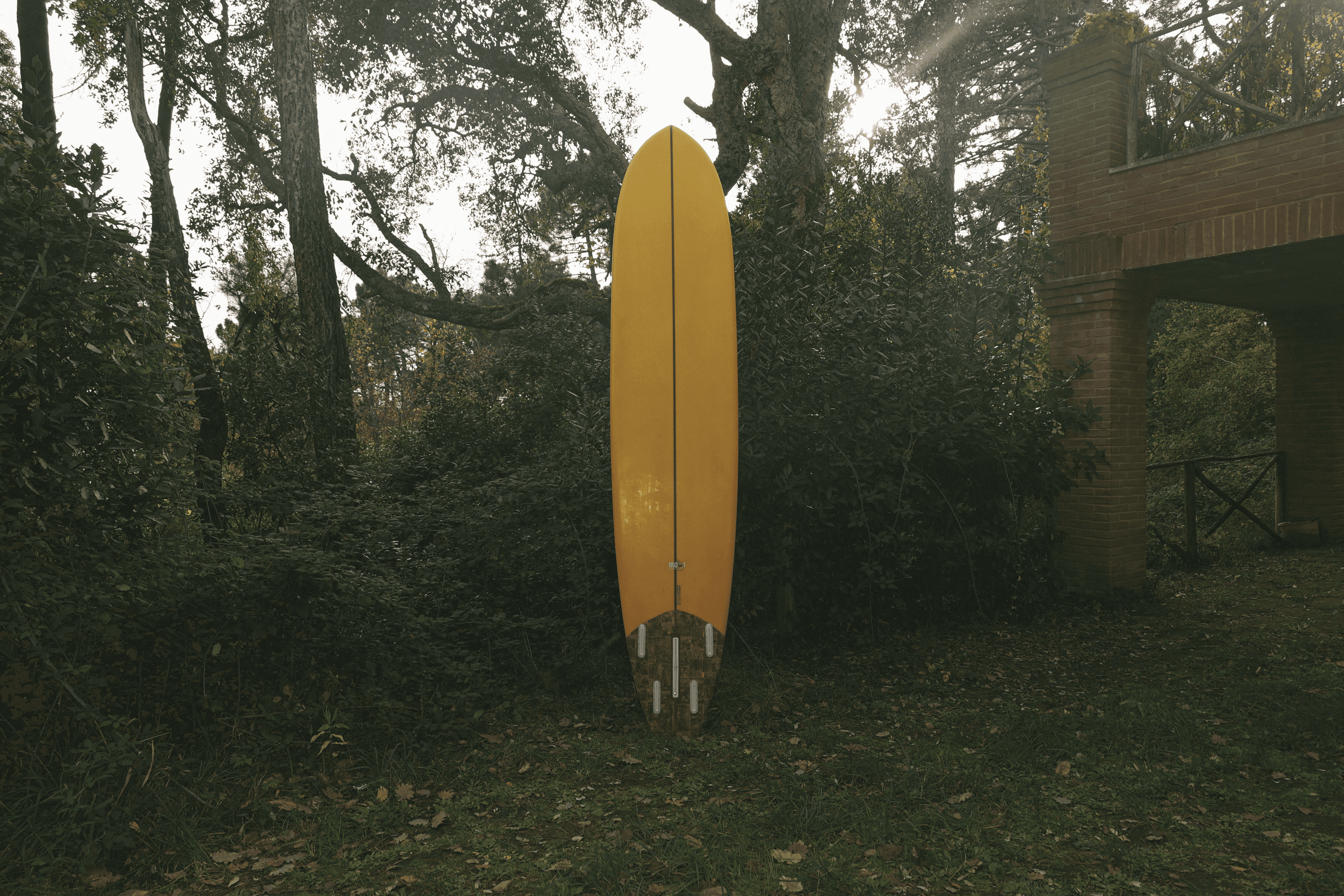 Tavola Cavendish, longboard giallo brillante con configurazione a tre pinne esposto verticalmente in un giardino boschivo.