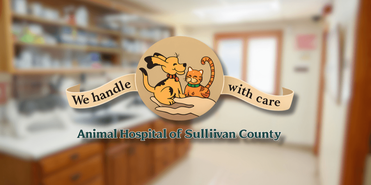 Animal Hospital of Sullivan County logo featuring dog and cat with “We handle with care” slogan.