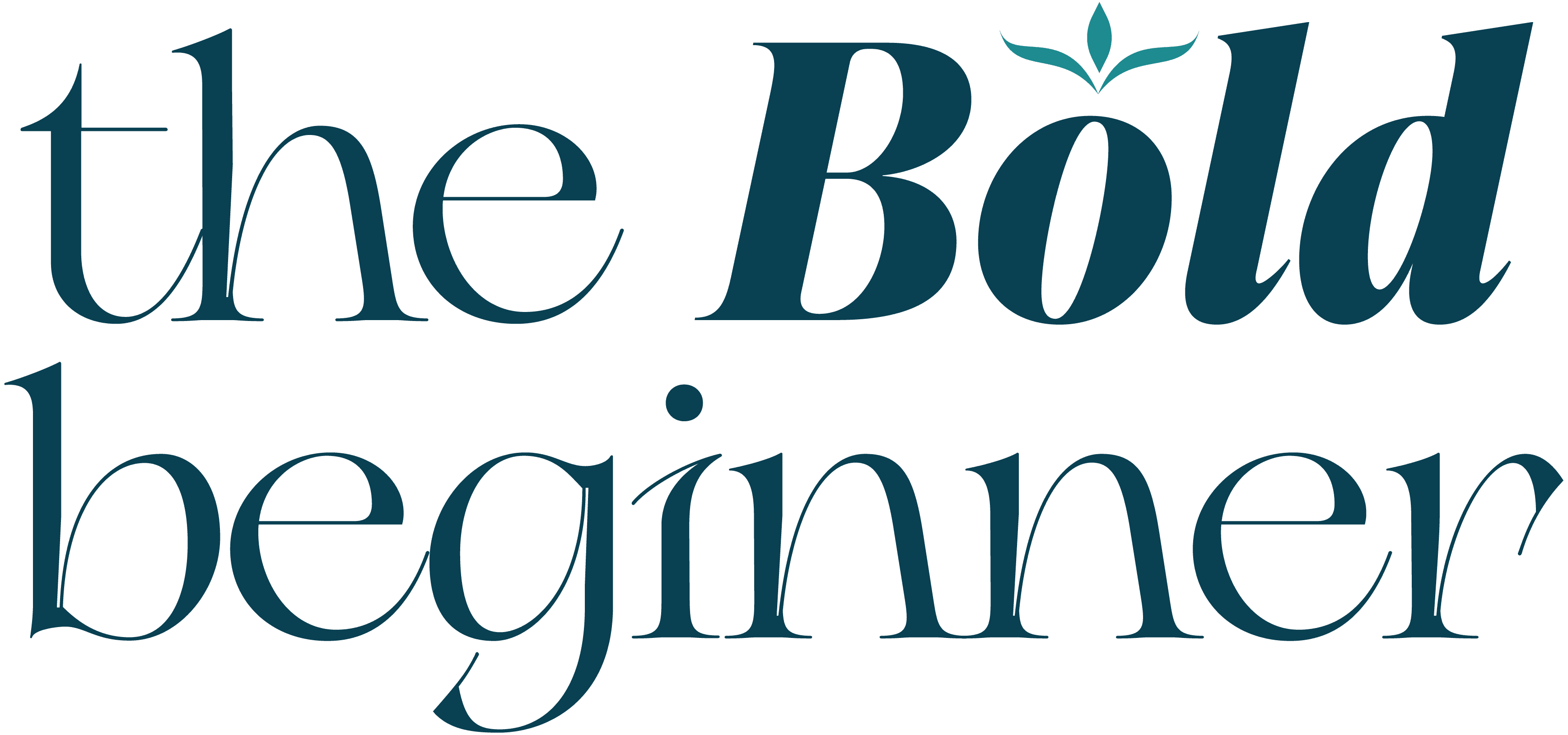 the Bold beginner logo
